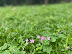 -广州国际生物岛