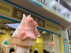-柠檬车露(卖草地店)