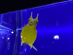 -大连圣亚海洋世界