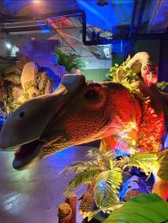 -恐龙探索乐园(磁器口店)