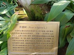 -国家植物园南园