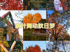 -黑龙江省森林植物园