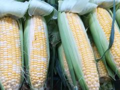 -珠光市场(文德南路)