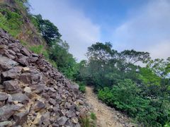 -梧桐山风景名胜区