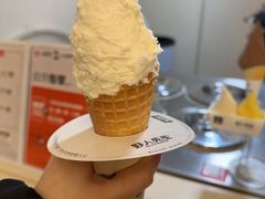 -野人先生现做冰淇淋(北京环宇荟店)