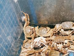 -曼格活海鲜·牛排自助(光明蓝鲸店)