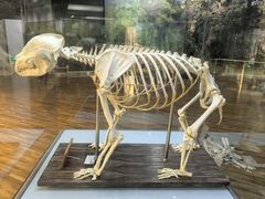 -陕西自然博物馆