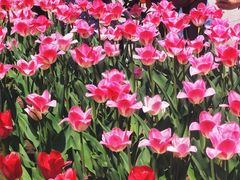 -北陵公园