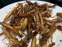 -铁锅炖灶台鱼老三炖鱼馆