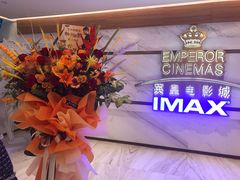-英皇电影城(英皇集团中心IMAX店)