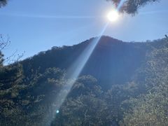 -北京西山国家森林公园