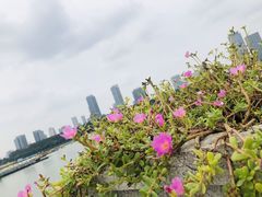 -九华山公园