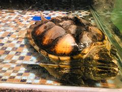 大堂-威哥美食(迈科国际店)