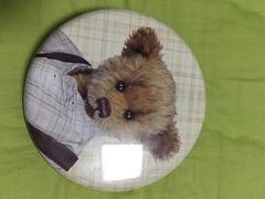 -珍妮曲奇聪明小熊(尖沙咀店)