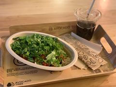 -油梨树 AVOCADO TREE(亮马桥店)