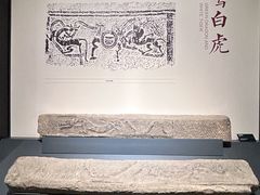 -四川大学博物馆