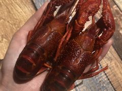 -虾弄弄海派小龙虾·牛羊蝎子火锅