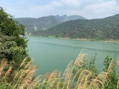 -羚羊峡古栈道森林公园