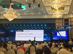 -圣爵菲斯大酒店(长沙世界之窗店)