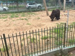 -秦皇岛野生动物园
