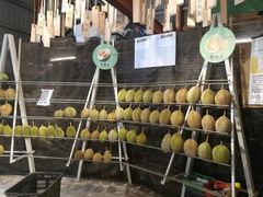 -都念榴莲·城市榴莲