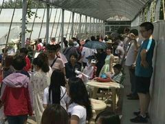 -庞各庄翠芳园西瓜蔬菜基地采摘园
