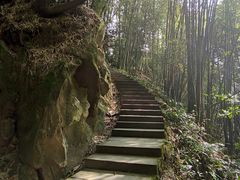 -缙云山景区