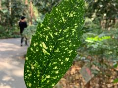 -杭州半山国家森林公园