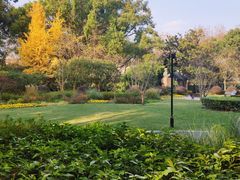 -徐家汇源景区-衡山公园