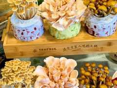 -烹然四季椰子鸡火锅(团结湖总店)