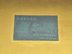 -灵谷景区