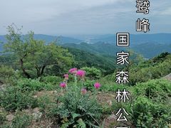 -鹫峰国家森林公园