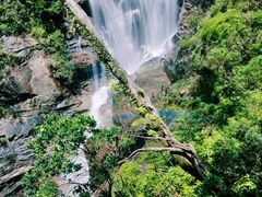 -海南热带雨林国家公园吊罗山景区