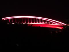 -金鸡山公园