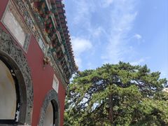 -北陵公园