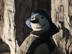 -横店影视城梦幻谷园区