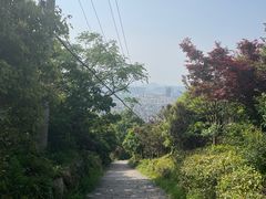 -大罗山风景区
