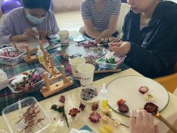 -海豚湾高端月子会所(黄浦店)