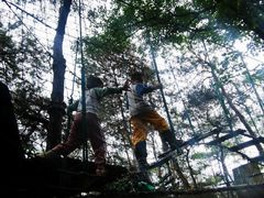 -芦仙山景区-飞越丛林探险乐园