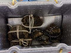 -蟹天蟹地农家菜·阳澄湖大闸蟹(浅水湾店)
