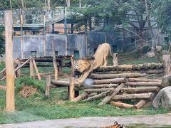 -泉州海丝野生动物世界