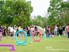 -奔驰上海利星(七宝店)