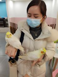 -Moni星球萌宠·小马宝莉·灵蛇·高端高阶全萌宠互动体验俱乐部(红豆国际广场店)