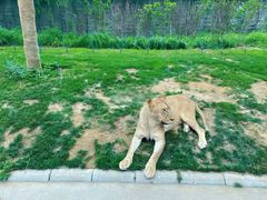 -北京野生动物园