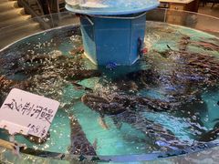 -魏铭鱼头捞饭(晋阳路店)