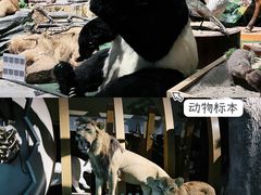 -福建博物院