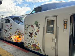 -关西机场 JR ticket office(Kansai Airport)