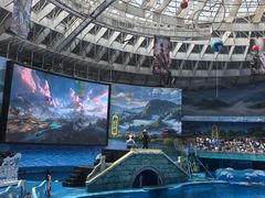-海合安成都极地海洋公园