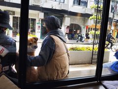-茶是一枝花泡茶店