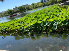 -烟台大学-第7餐厅